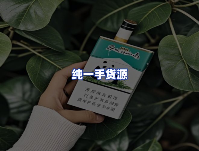 专业团队